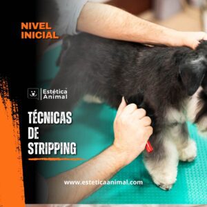 Técnicas de stripipng en la peluquería canina
