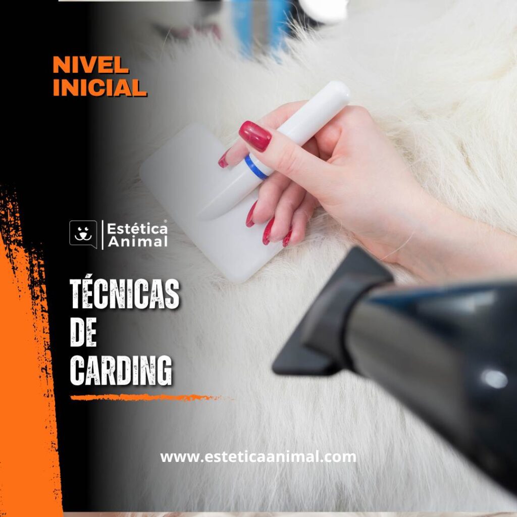 Técnicas de carding aplicadas en la peluquería canina