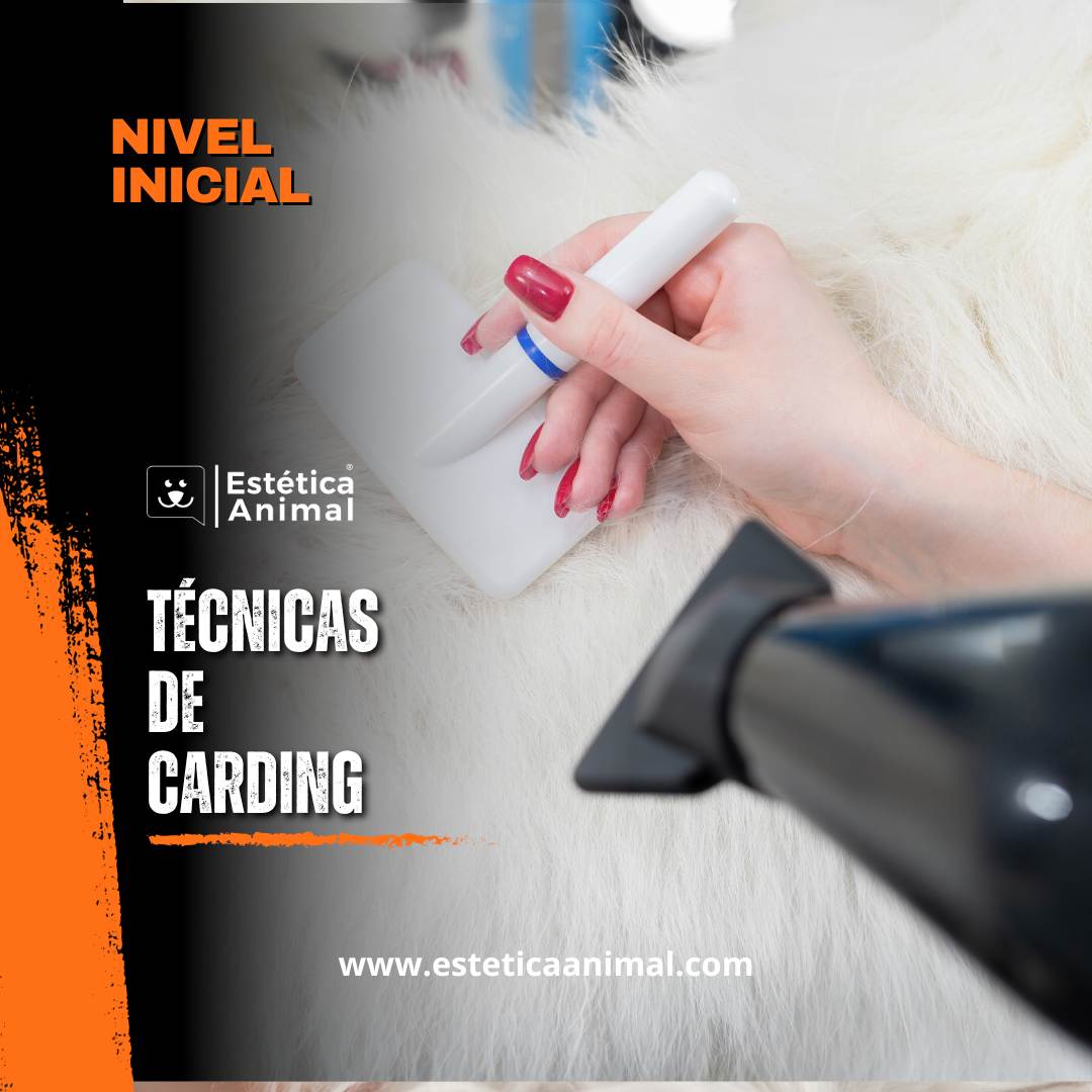 Técnicas de carding aplicadas en la peluquería canina