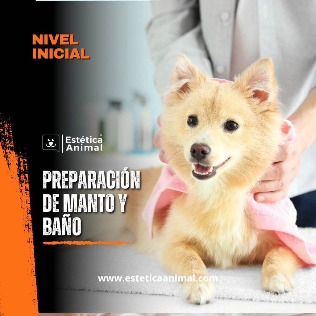 Preparación de mantos para la peluquería canina