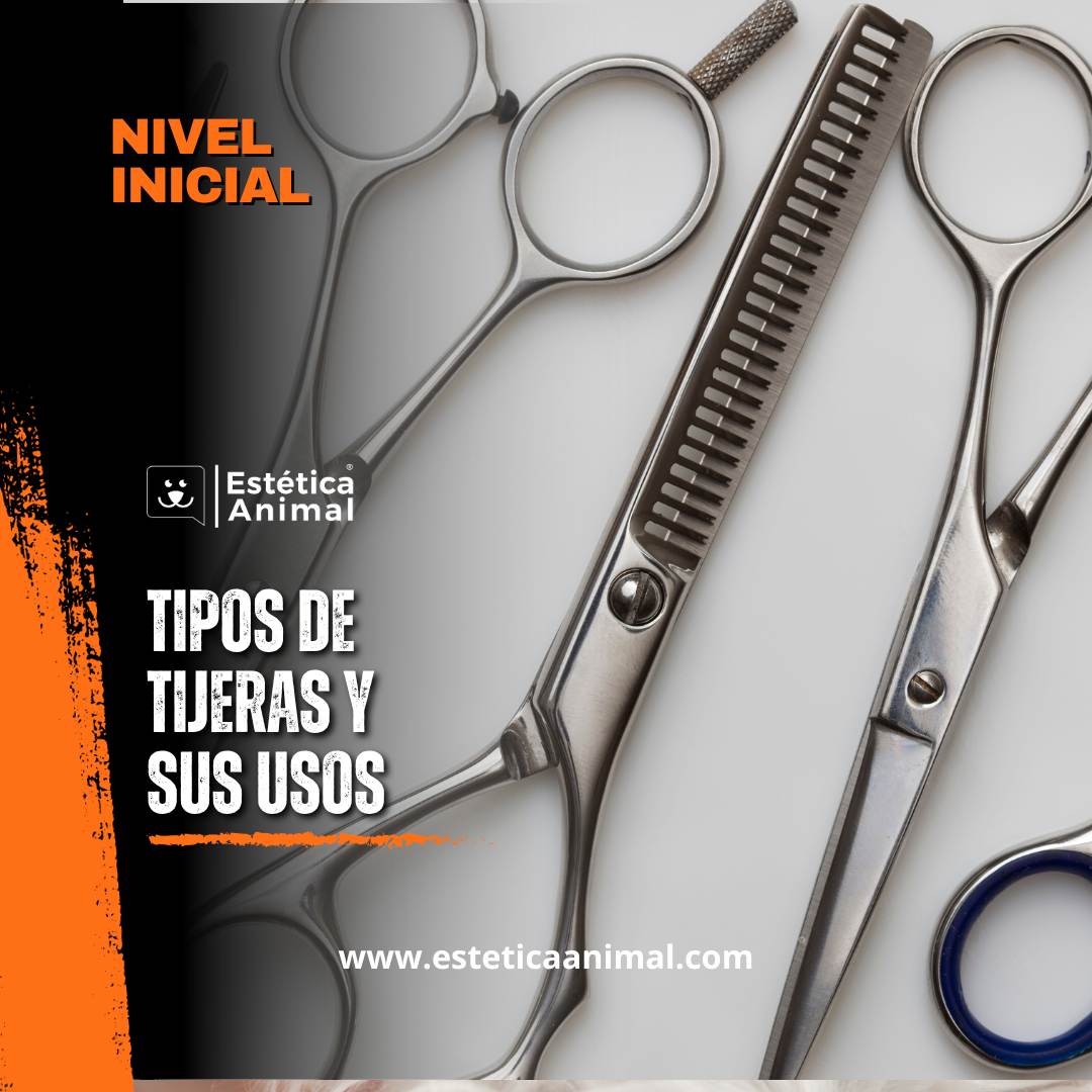 Conoce las tijeras que te harán brillar en la peluquería canina