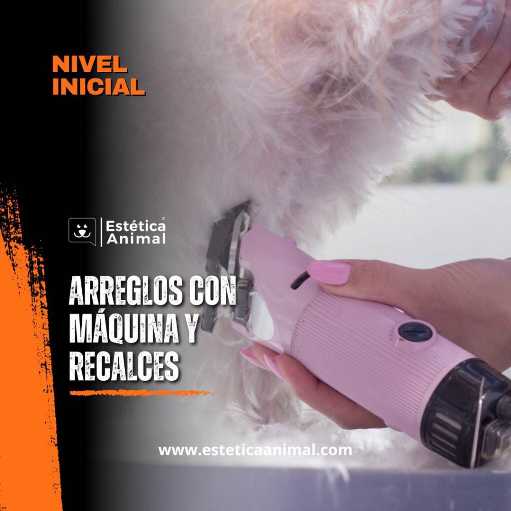 Usar recalces en la peluquería canina