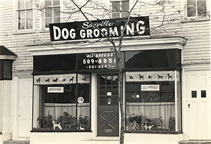 historia de la peluqueria canina