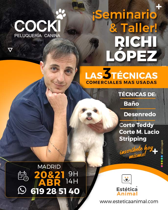 Seminario de Richi López las tres técnicas más utilizadas en la peluquería canina comercias
